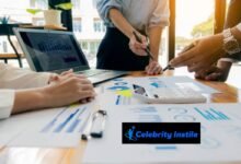 accordshort insights
