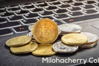 Milohacherry Coin