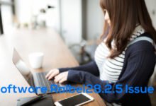 Software Ralbel28.2.5 Issue