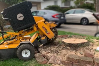 Stump Grinding