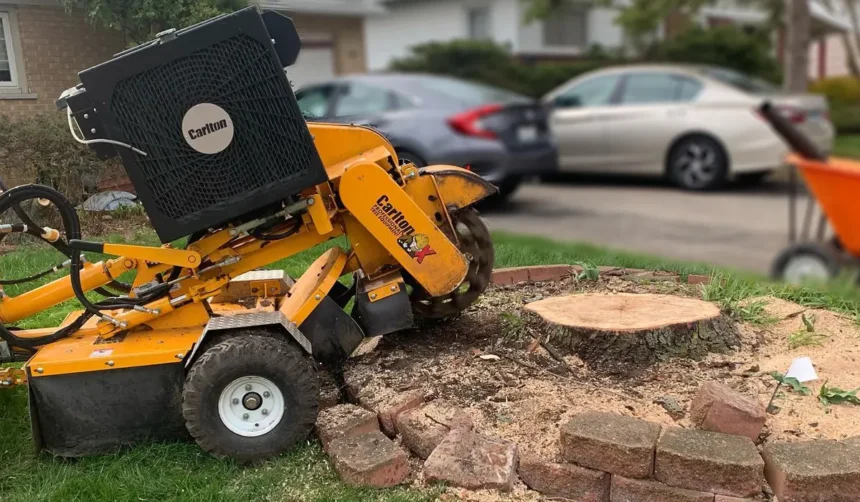 Stump Grinding